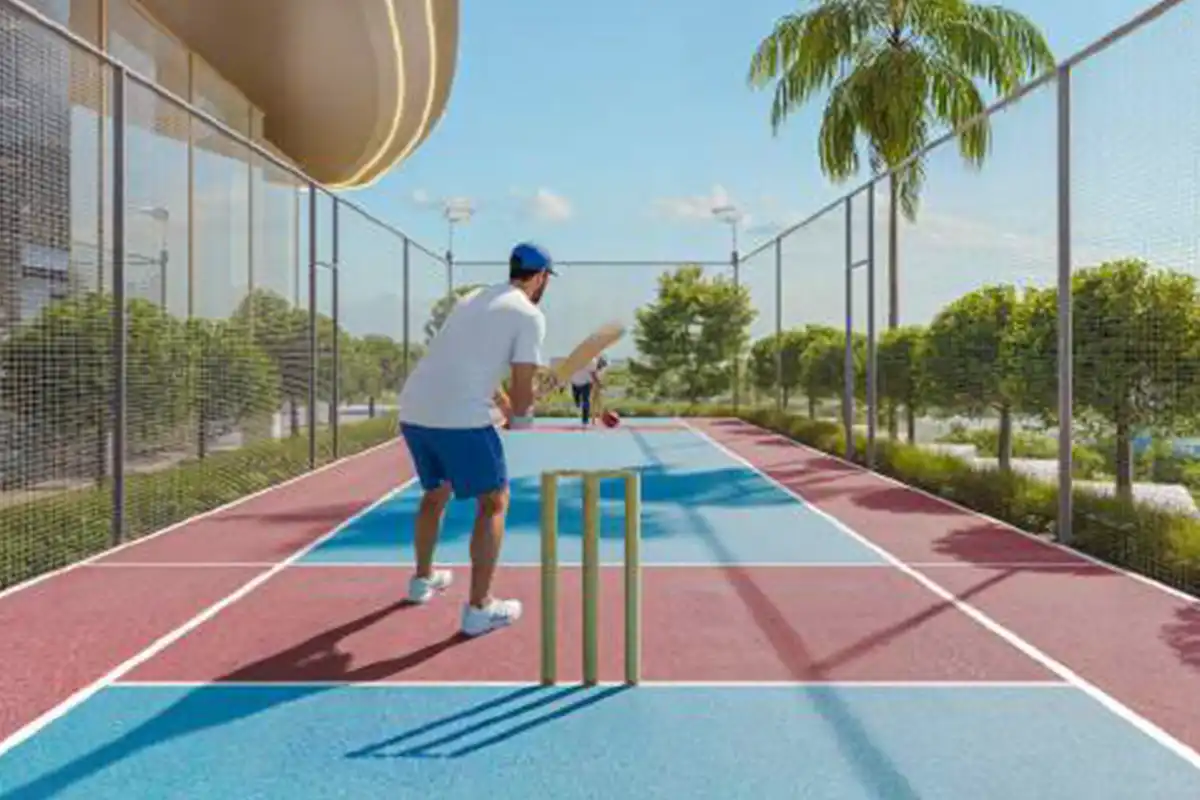 Cricket Pitch